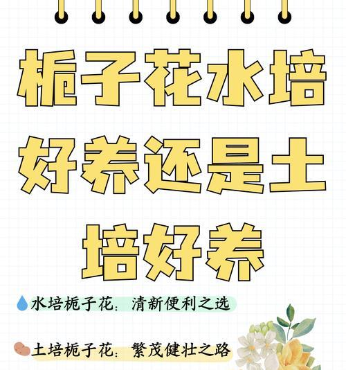栀子花水养的正确方式是什么？怎样保证其开花？