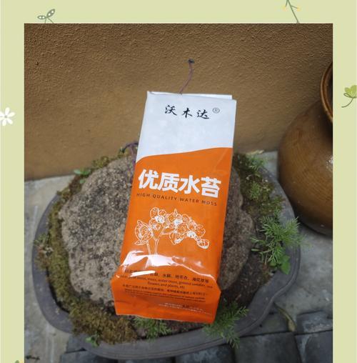 水苔种植蝴蝶兰的步骤是什么？