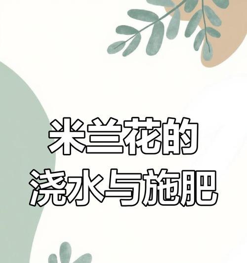 米兰掉叶子的常见原因及应对措施？