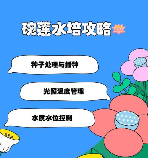 开口碗莲水培的成功要点是什么？