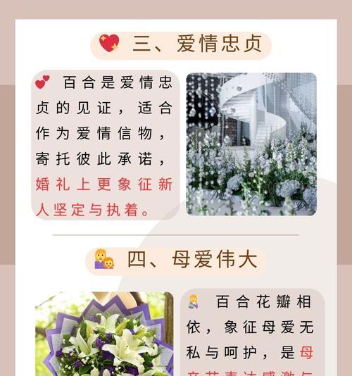 花卉在不同文化中的象征意义是什么？