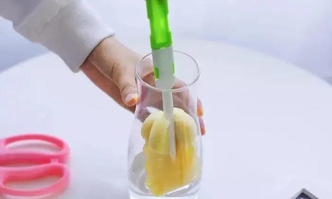 康乃馨烂根的处理方法和预防措施？