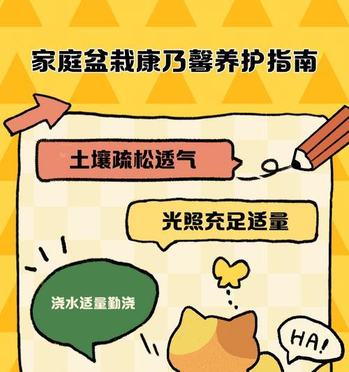 康乃馨烂根的处理方法和预防措施？