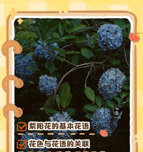 食蚊草的养殖方法和注意事项？