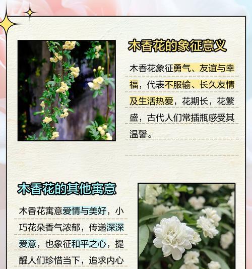 食蚊草的养殖方法和注意事项？
