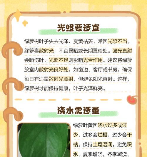树叶子枯萎了怎么办？可能的原因及解决方法？