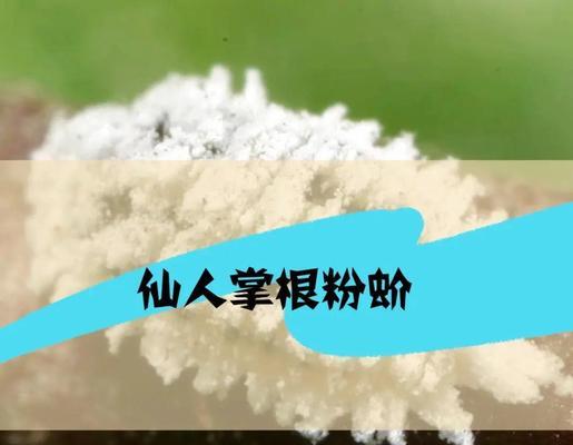 粉掌烂根有哪些处理方法？