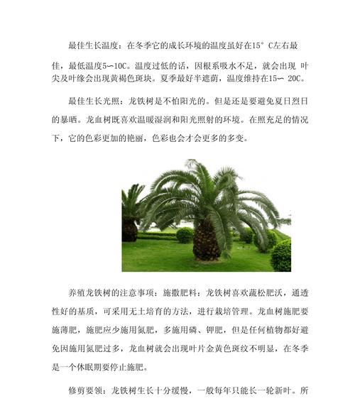 铁树施肥的正确方法和注意事项是什么？