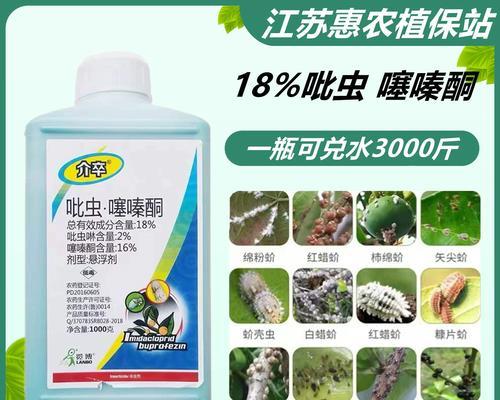 有效杀死蚧壳虫的方法有哪些？