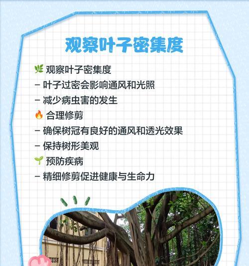 家庭树修剪枝叶的最佳时机是什么时候？如何正确修剪？