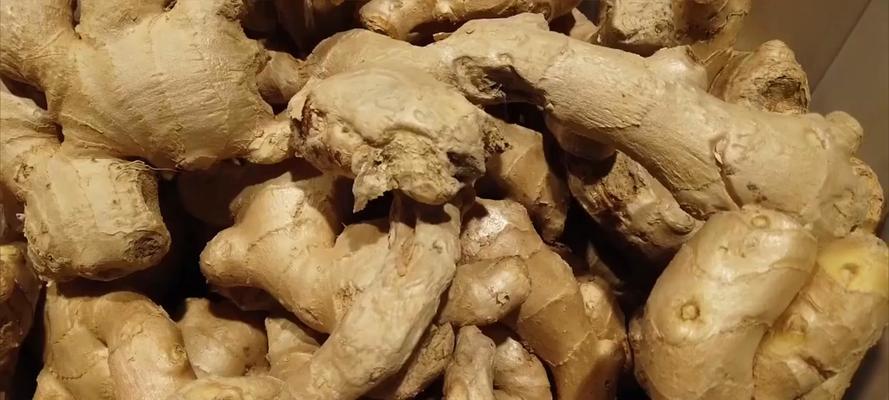 姜出芽子了怎么种植方法？步骤和注意事项是什么？