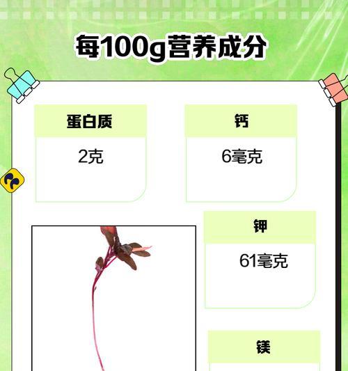 红豆种子催芽方法是什么？如何正确进行红豆种子催芽？
