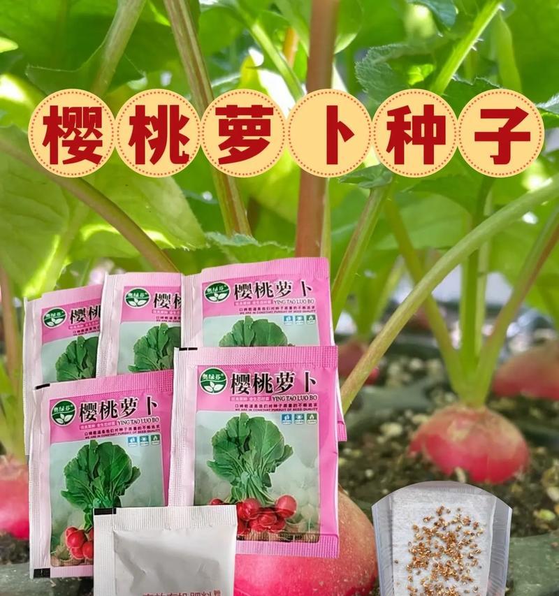 樱桃种子怎么种植方法？步骤和注意事项是什么？
