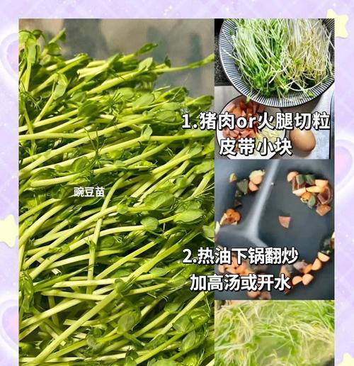 冬天豌豆催芽方法是什么？需要多长时间才能发芽？