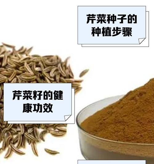 芹菜催芽后的种子播种方法是什么？播种后需要注意哪些问题？