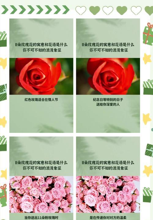 104朵花的寓意是什么意思？花语背后隐藏着哪些情感表达？