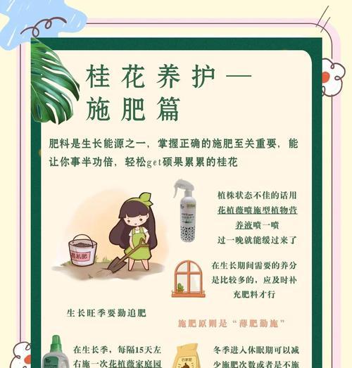 桂花修剪枝的正确方法是什么？修剪后需要注意什么？