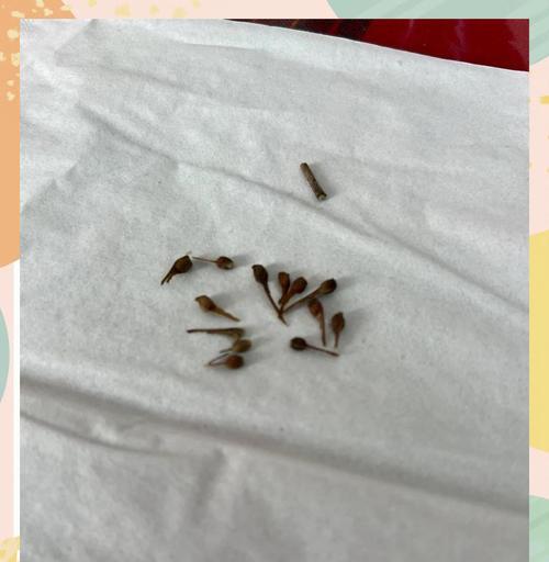 红枫树移栽后如何快速催芽？常见问题有哪些？