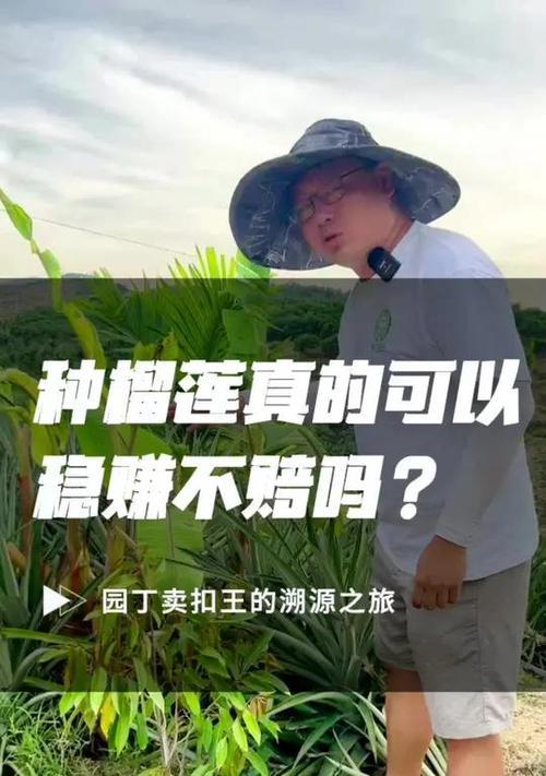 柳莲怎么种植？种植方法有哪些常见问题？