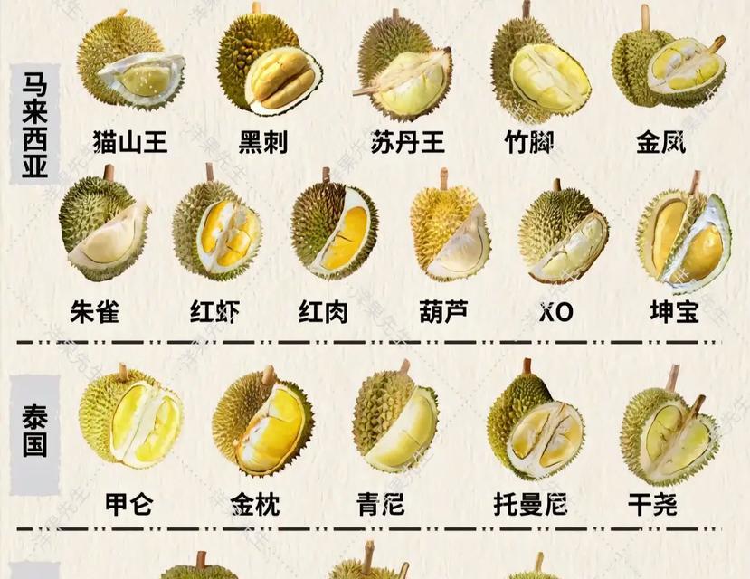 柳莲怎么种植？种植方法有哪些常见问题？