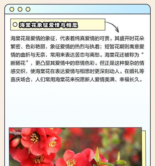 104朵花的寓意是什么意思？如何正确解读104朵花的含义？