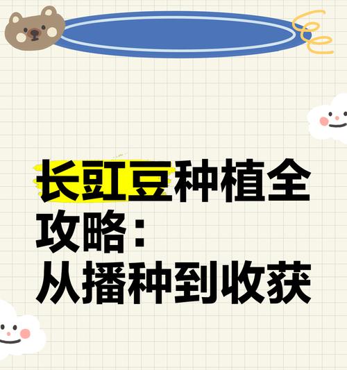 豇豆种籽需要催芽吗？种植步骤是什么？