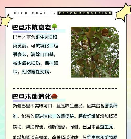巴达木催芽的最佳方法是什么？步骤和注意事项有哪些？