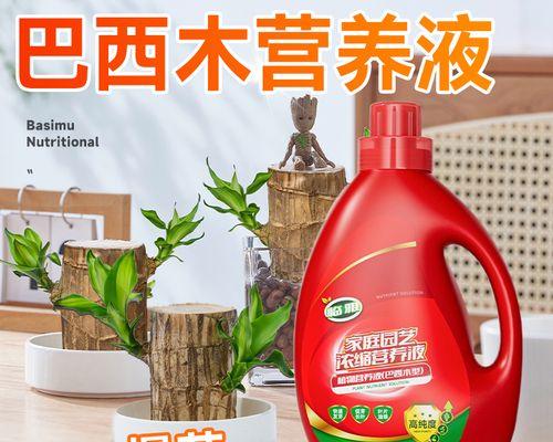巴达木催芽的最佳方法是什么？步骤和注意事项有哪些？