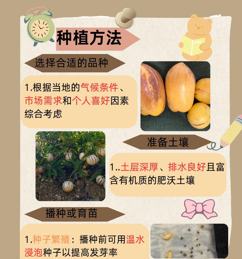 中人参果怎么种植方法？种植过程中需要注意哪些问题？