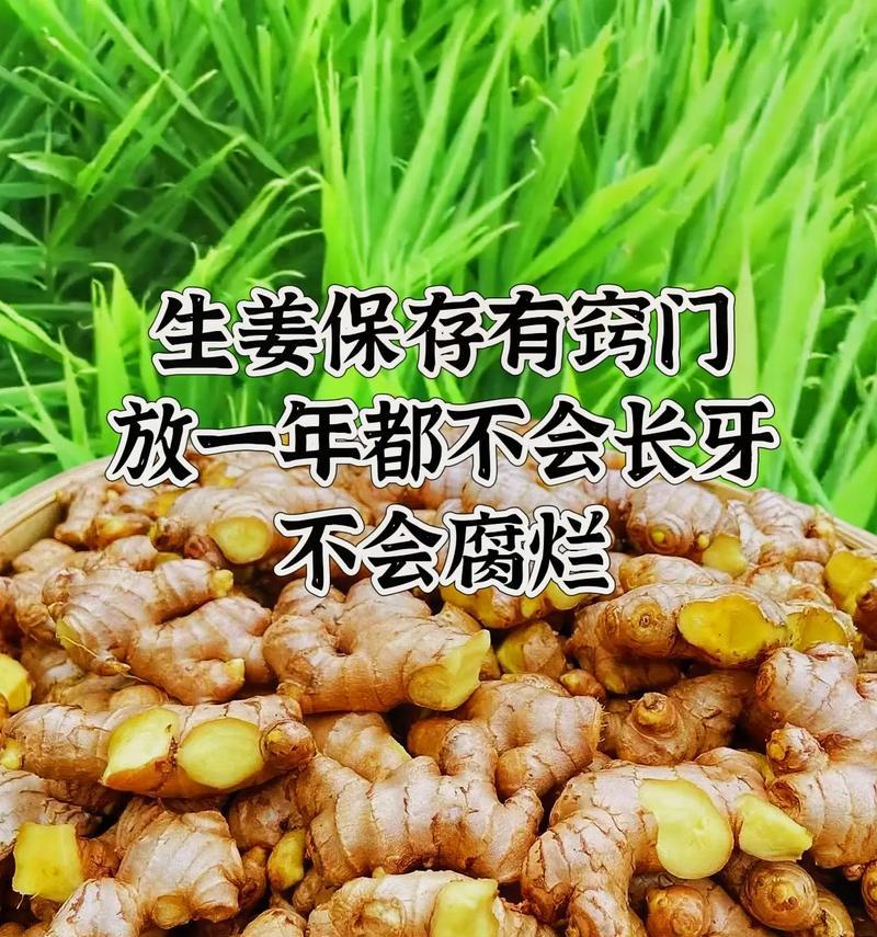 大姜醒芽催芽炼芽怎么做？步骤和注意事项是什么？