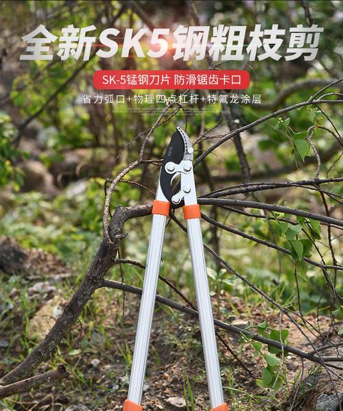 果树秋天修剪枝条的最佳时机和方法是什么？