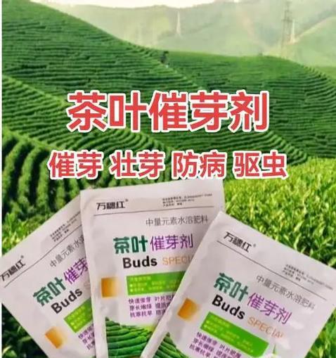 芒果树苗催芽剂使用方法是什么？如何正确使用以提高催芽效果？