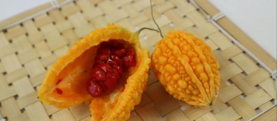 蓬瓜怎么种植方法？步骤和技巧是什么？