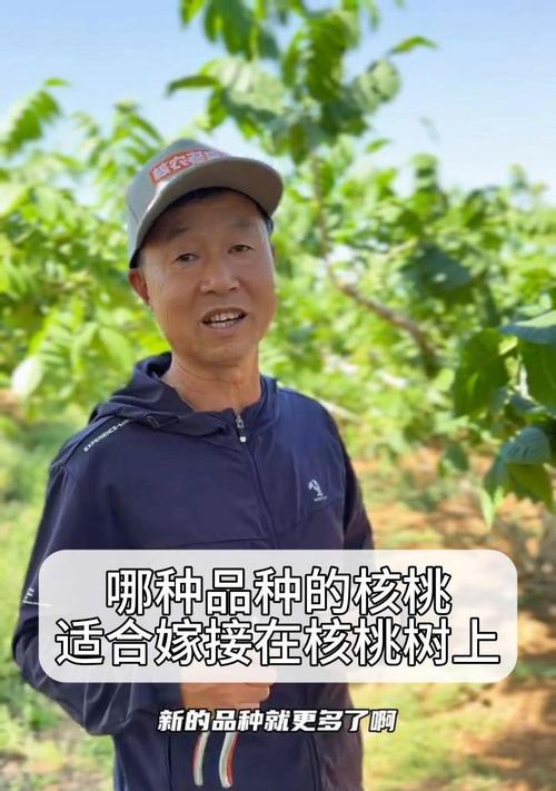 核桃树怎么种植方法？从种子到成树的全过程解析？