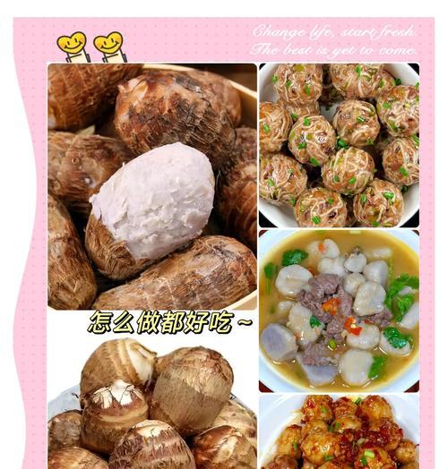 红芽芋催芽方法有哪些？怎样才能快速催芽？