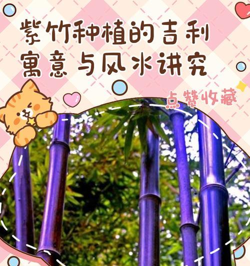 紫竹东北种植方法是什么？如何确保种植成功？