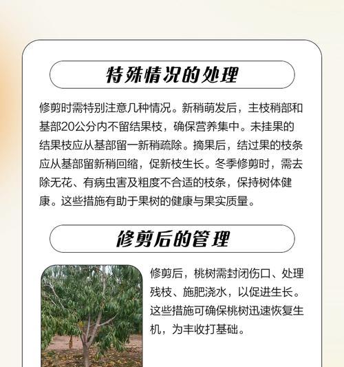 桃树茂盛怎么修剪枝条？修剪的最佳时期是什么时候？