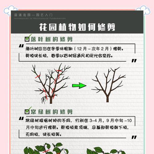 南瓜修剪枝条的最佳时机是什么时候？如何正确进行修剪？