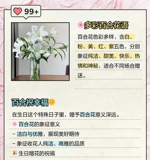 百合花的花语是什么？不同颜色的百合花代表什么含义？