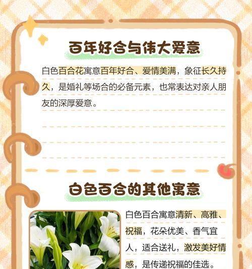 百合花的花语是什么？不同颜色的百合花代表什么含义？