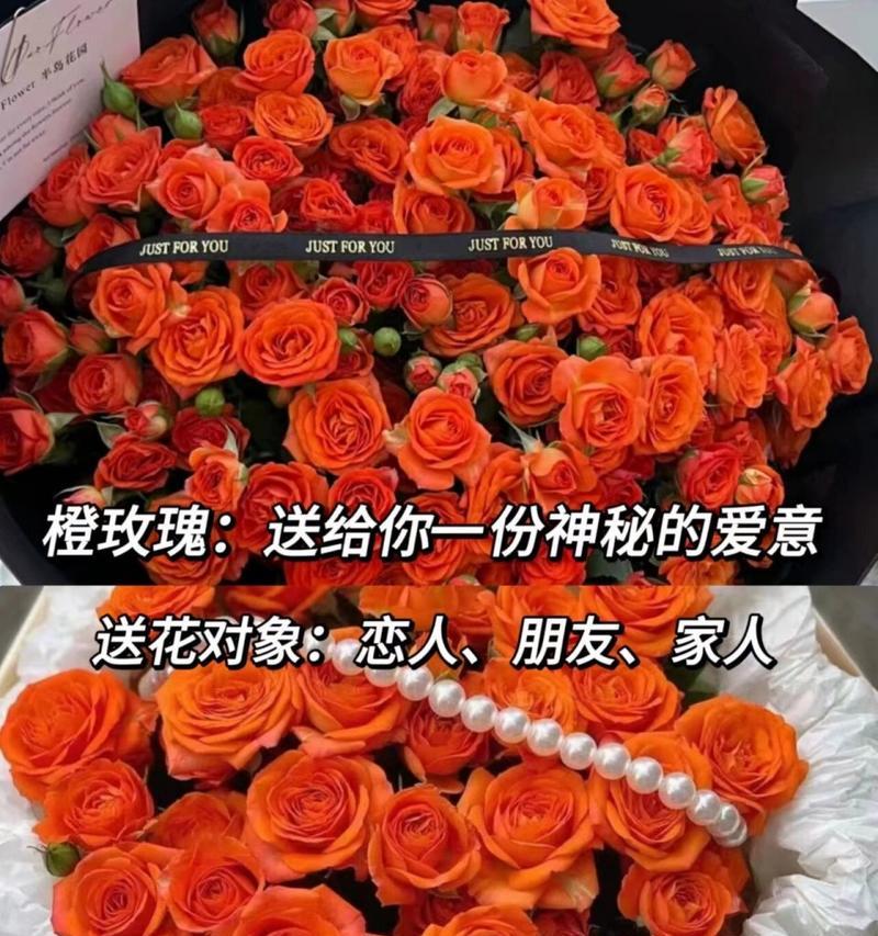 七夕节送花的含义是什么？如何选择寓意深刻的花卉？