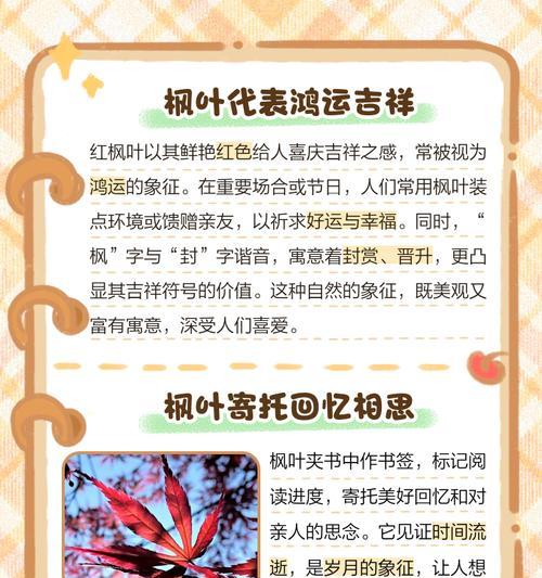 什么花语最能代表你的心情？如何根据心情选择花卉？