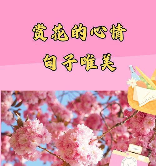 什么花语最能代表你的心情？如何根据心情选择花卉？