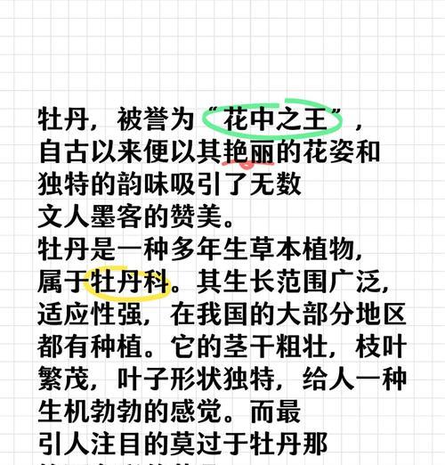 寓意纯爱长久的花是什么花？如何挑选表达永恒爱情的花卉？