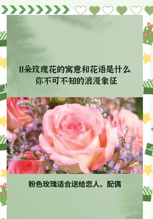 紫香送玫瑰花代表什么含义？如何正确解读紫香玫瑰的花语？