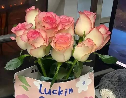 象征回心转意的花是什么花？如何用花语表达歉意？
