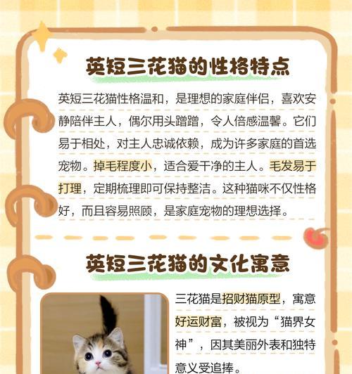 猫生三花的寓意和象征是什么？三花猫的特殊含义有哪些？