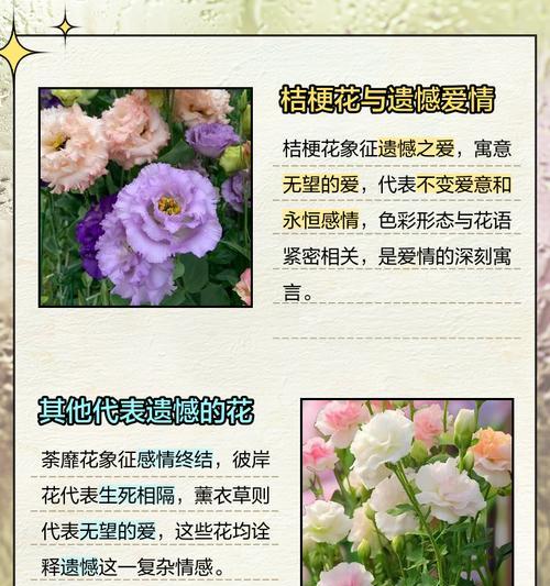 感情方面花语是什么？如何正确表达爱意？