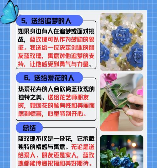 蓝玫瑰的花语是什么？购买蓝玫瑰需要注意什么？