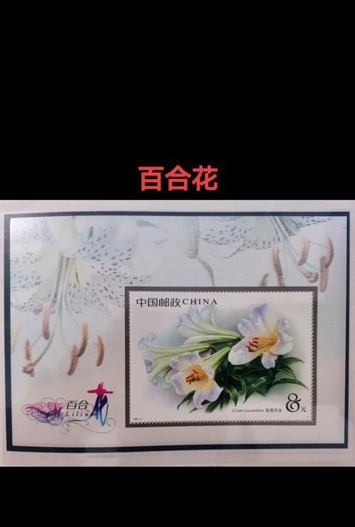 百合花插在枪筒上的花象征什么？这种组合有何深层含义？